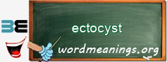 WordMeaning blackboard for ectocyst